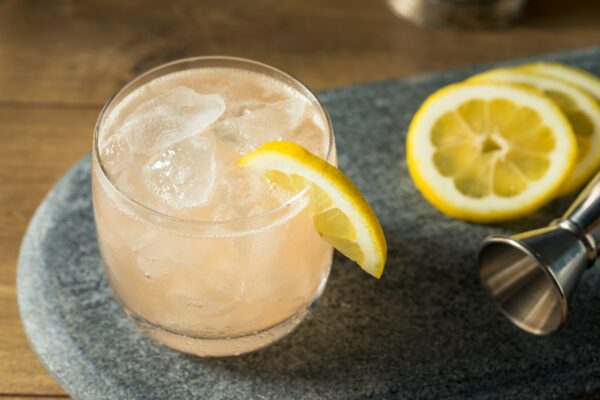 Boozy Sour Gin Fitzgerald Cocktail